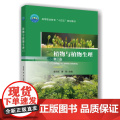 正版 植物与植物生理（第2版）袁玉娟 黄萍 中国农业大学出版社店978756552940业