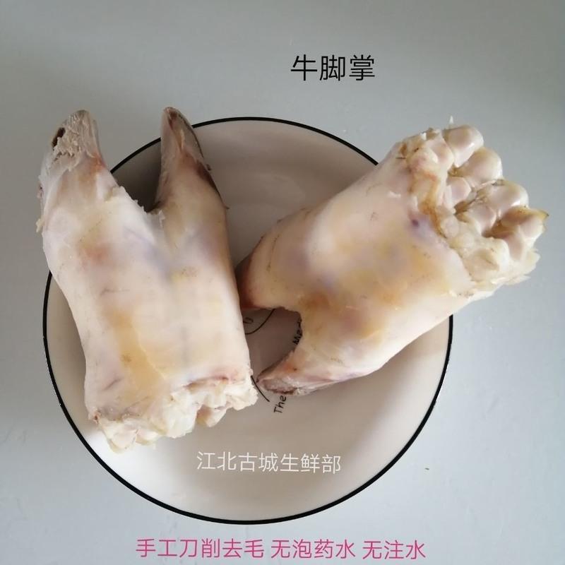 新鲜生牛蹄子牛脚去毛去壳黄牛蹄牛脚掌生牛蹄5斤生牛脚掌