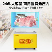 星星(XINGX) SD/SC-245YE 245升 卧式冷柜 冰柜 圆弧门 推拉门 冷藏冷冻柜