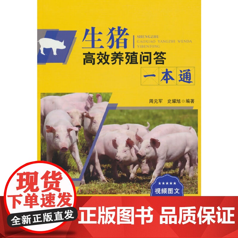 生猪高效养殖问答一本通高清大图