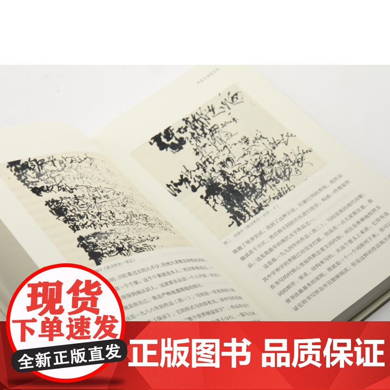 限价75折 海上题襟 此乃堂也 邱振中著 历史 掌故 书画 艺术理论研究 上海书画出版社高清大图