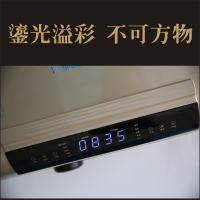well-born惠洁宝RZL28F2鎏金版健康活水速热 全家洗澡不排队 11倍增容