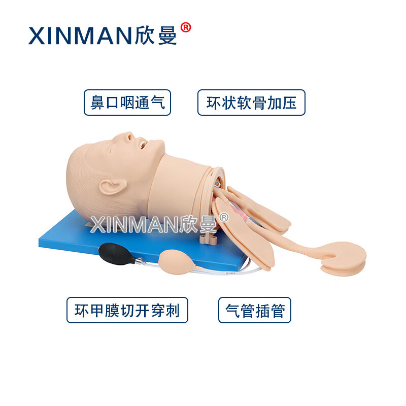 欣曼科教 高级气道管理模拟人 气管插管操作训练模型 卫勤训练模拟器材XM-QD12高清大图