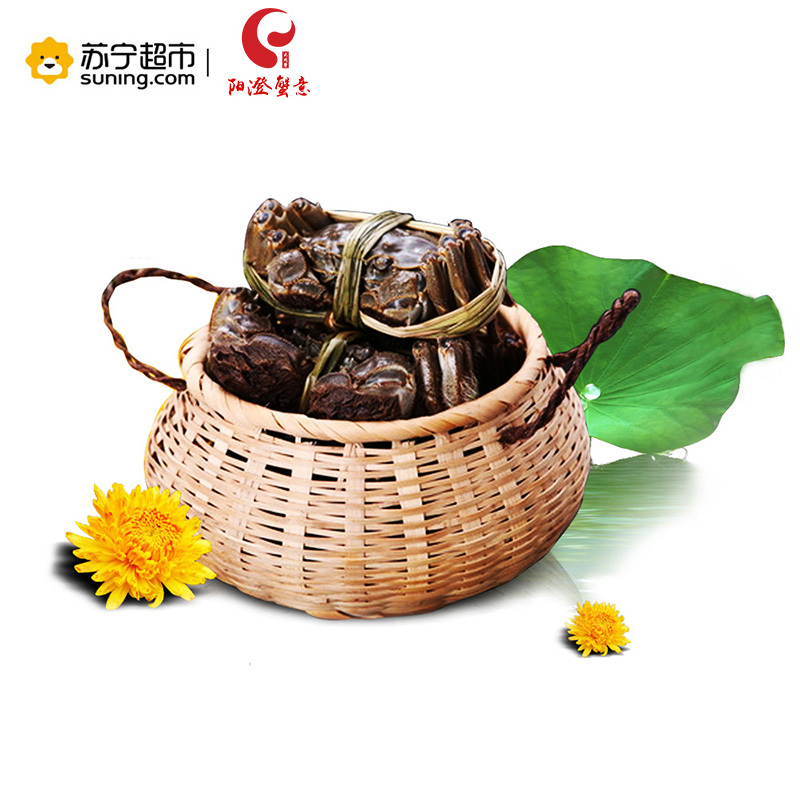 阳澄湖阳澄蟹意牌大闸蟹礼券 大闸蟹券 1399型 公:3.0两 母:2.0两 5对装 螃蟹券