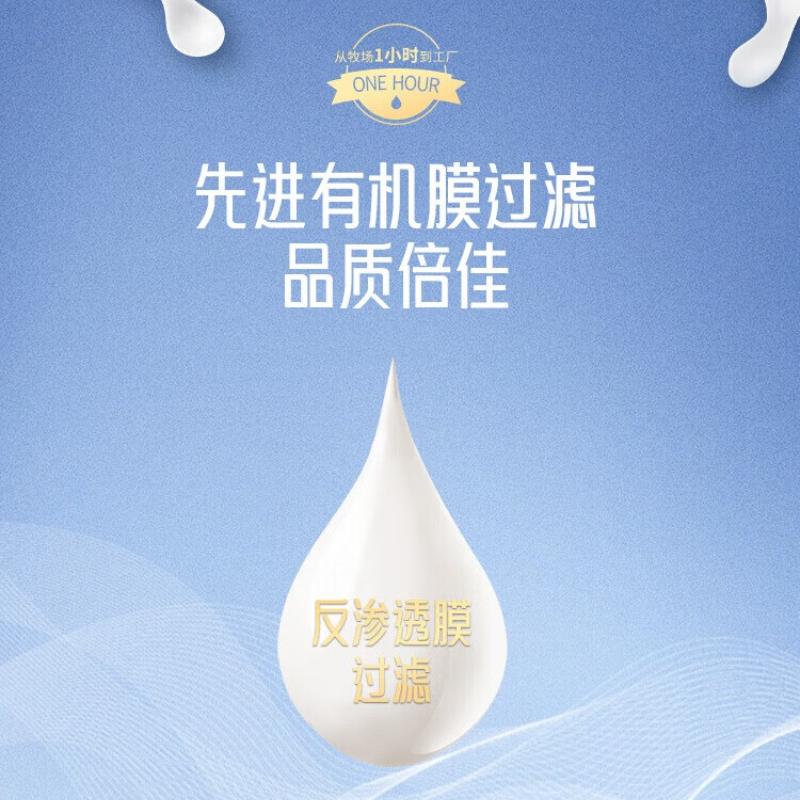 风行 营养牛奶3.8g仙泉湖纯牛奶 250ml*10盒高清大图