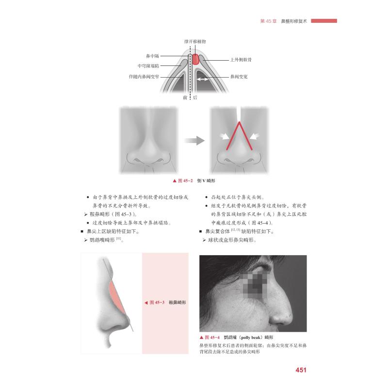 美容外科精要