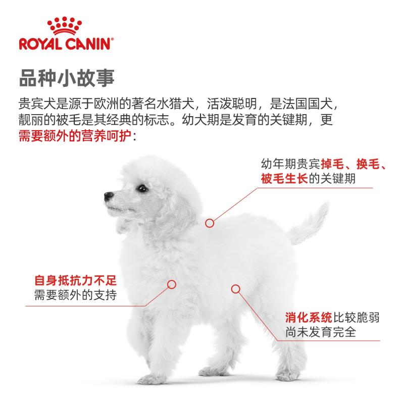 ROYAL CANIN 皇家狗粮 APD33贵宾泰迪幼犬狗粮 全价粮 0.5kg 小型犬幼犬 亮泽被毛 增强体质
