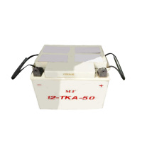 特种车专用电瓶 12-TKA-50 24V 50AH MF免维护铅酸蓄电池