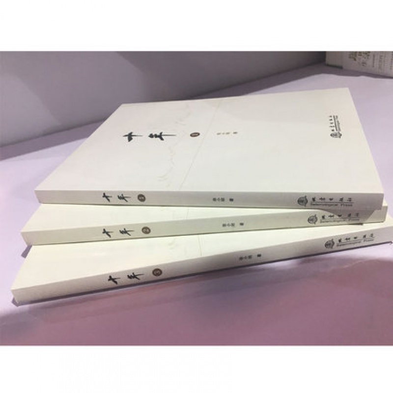 [全3册]十年3册 徐小明著 盘口数字化定量分析 时间的维度将行情及对行情的思考逻辑推理过程记录十年高清大图
