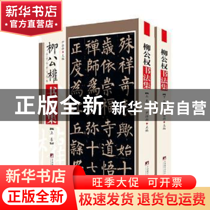 正版 柳公权书法集(上下)/传世名家书画集 尹维新 中央编译出版社高清大图