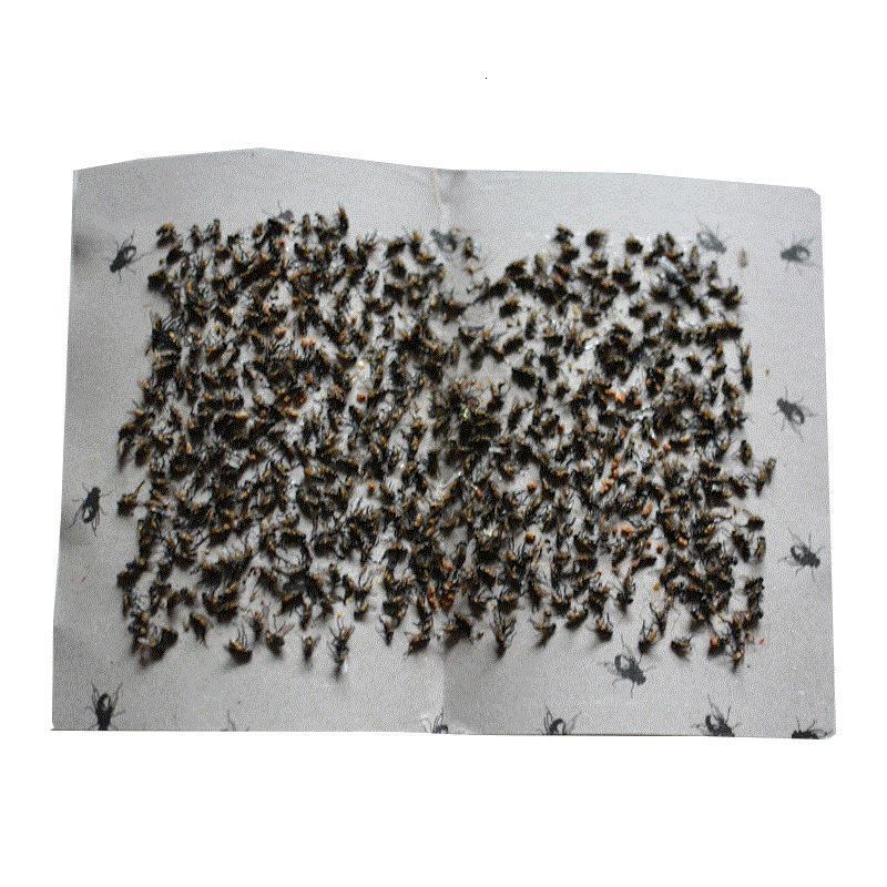 占仓蝉蝇纸粘苍绳纸吸蚊纸20张苍蝇贴粘蝇纸粘蚊虫板捕蝇贴沾