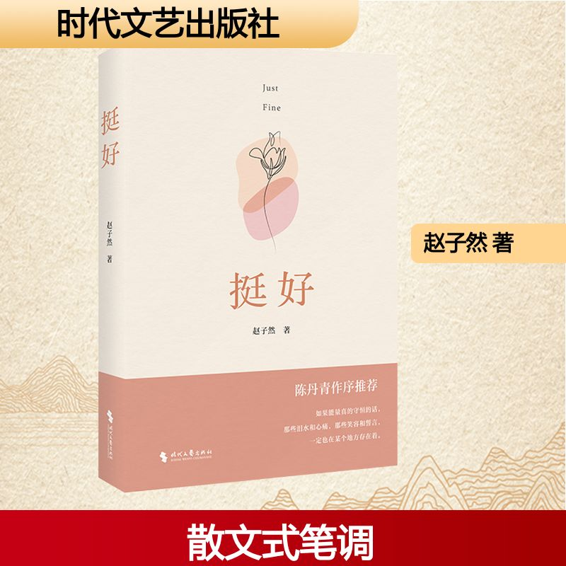 正版新书]挺好赵子然 著9787538775440高清大图