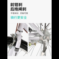永久自行车成人24寸女式单变速轻便成人复古城市学生普通勤淑女车