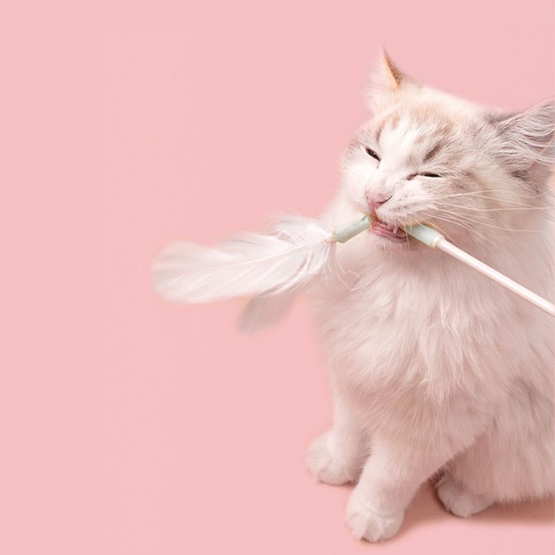 白色羽毛款 逗猫棒长杆猫咪玩具羽毛可替换套装宠物自嗨耐咬解闷逗猫互动神器