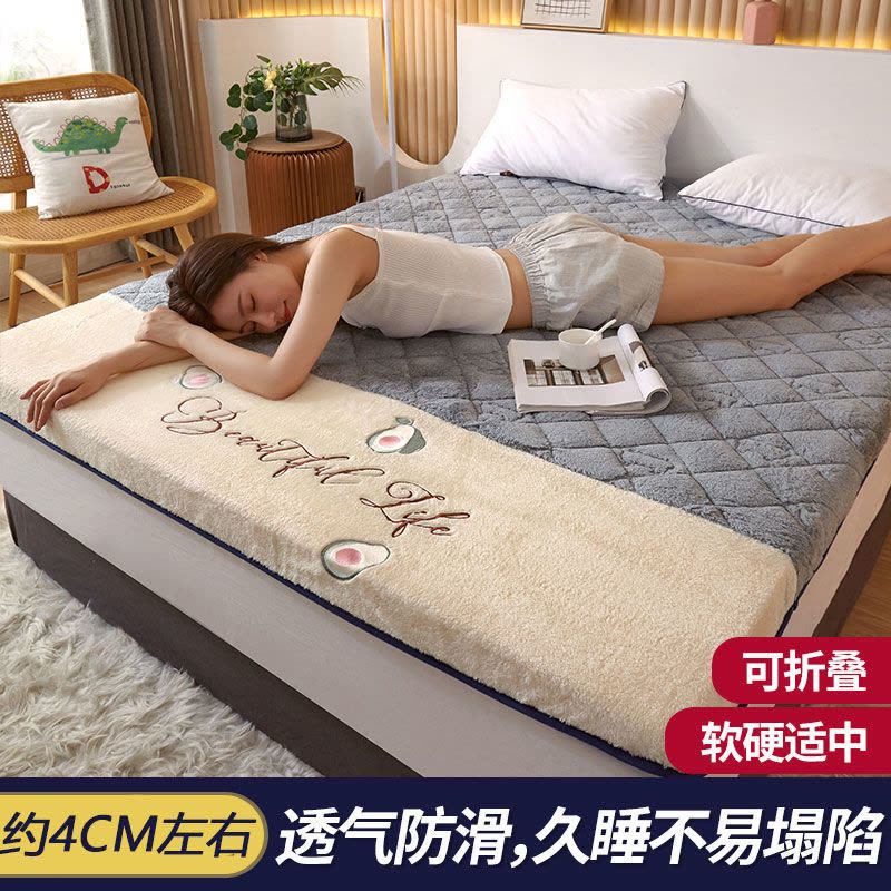榻榻米加厚床垫子软垫家用床褥子1.5m单双人1.8米海绵垫被图片