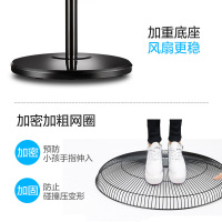 奥克斯(AUX)电风扇家用床头定时落地扇 节能立式办公室风扇 黑色 FS1603延长线