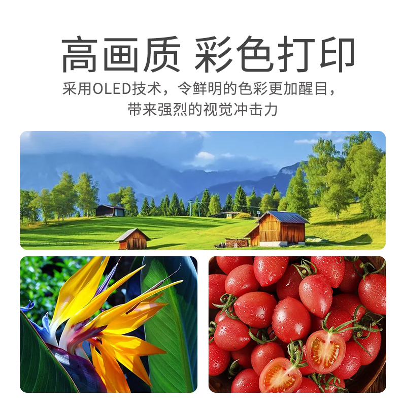 东芝 FC-3025AC彩色复合机 A3网络双面打印复印扫描替代3115AC 双纸盒+双面同步扫描输稿器+工作台高清大图