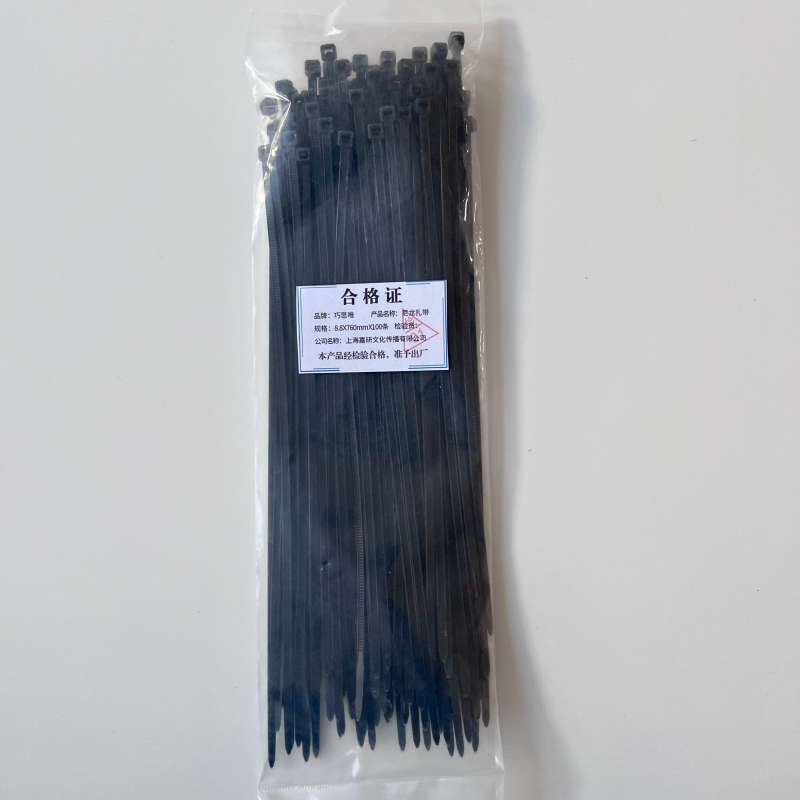 巧思唯 尼龙扎带 8.8*760mm*100条 包