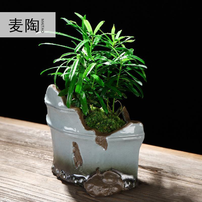美帮汇创禅意哥窑陶瓷花盆室内家用桌面简约透气盆栽绿萝兰植物装饰品
