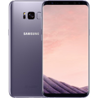三星(SAMSUNG)Galaxy S8 双曲屏面部识别虹膜 防水智能移动联通电信4G手机 4GB+64GB 幻紫灰港版