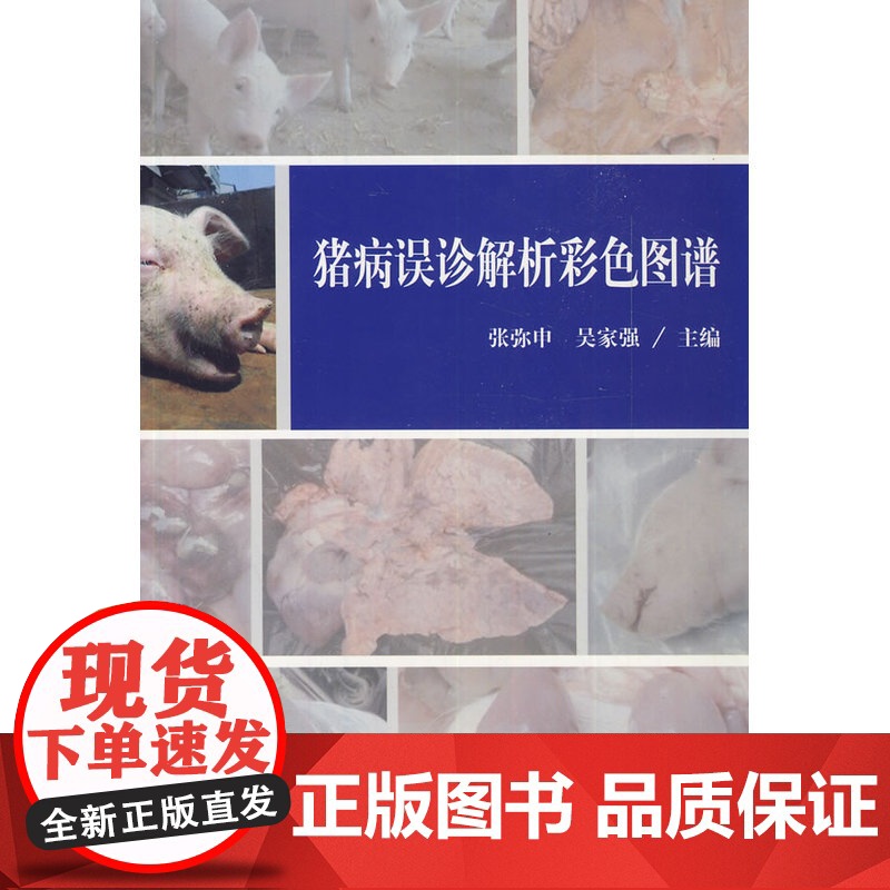 猪病误诊解析彩色图谱高清大图