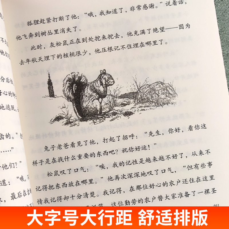 父与子全集[彩色注音版] [正版]兔子坡书一二年级三四五六年级阅读必读课外书世界经典名著彼得兔的故事大象巴巴的故事小王子
