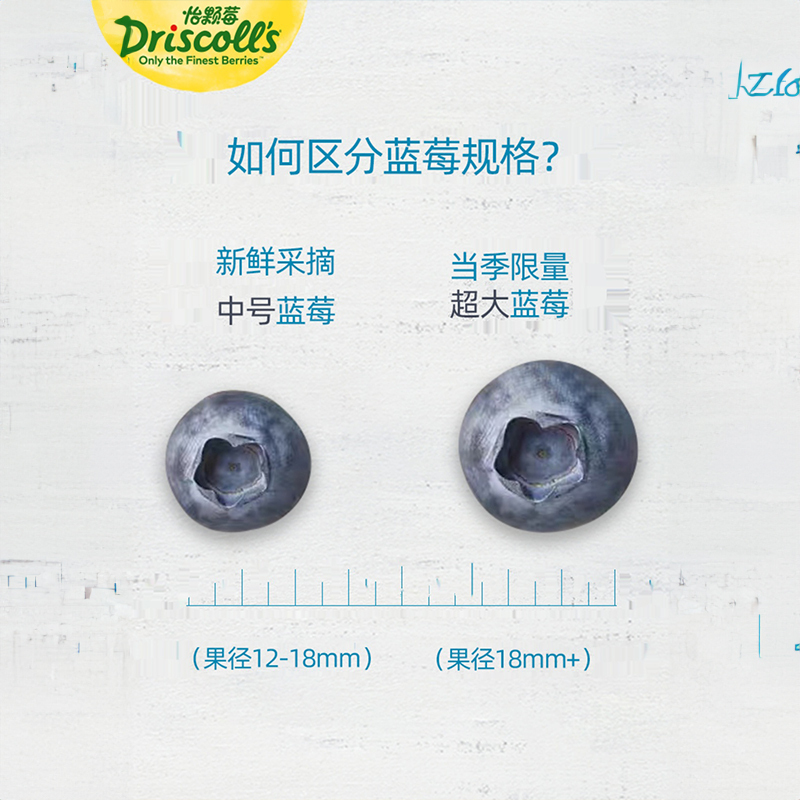 [冠町甄选] 秘鲁进口怡颗莓6盒中果(单盒125g) 新鲜酸甜可口蓝莓水果生鲜