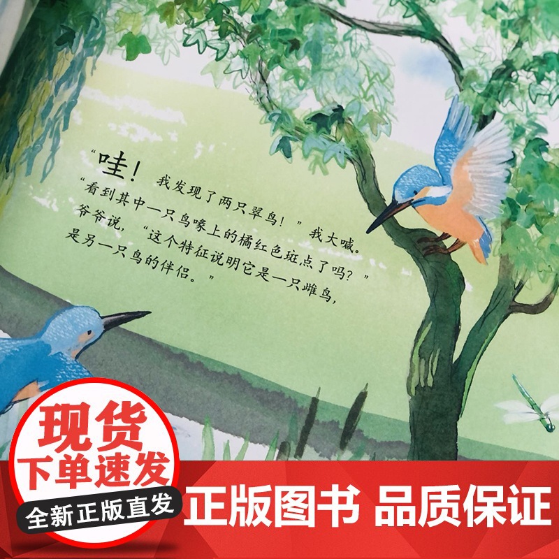 正版童书 爷爷和翠鸟高清大图