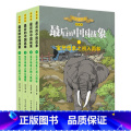 【漫画版】最后的中国战象：母象（全4册） 【正版】学校力荐后的中国战象 漫画版全册 签名卡片沈石溪动物小说 象群的征物签