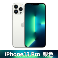 Apple iPhone 13 Pro 256GB 银色 MLH63CH/A