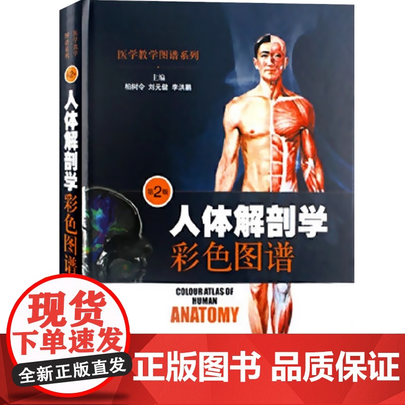 人体解剖学彩色图谱 第2版 柏树令 刘元健 李洪鹏 医学类工具书 医药卫生 上海科技 世纪出版高清大图