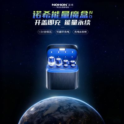诺希(NOHON)2.0条纹款5/7号混装8仓套装【含4节5号3600mWh电池+4节7号1300mwh电池】