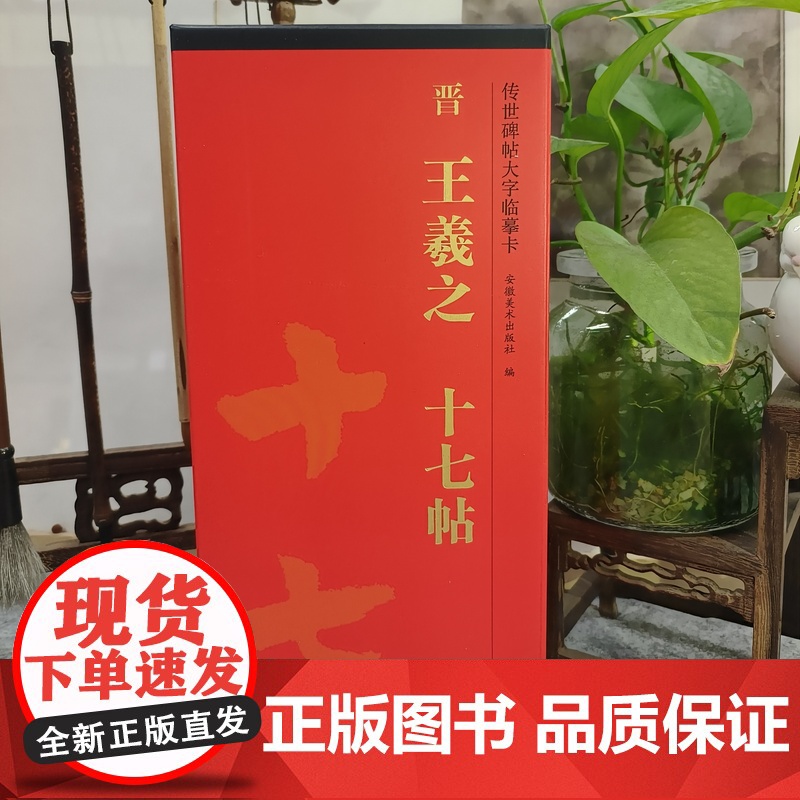 十七帖 传世碑帖大字临摹卡(共244页) 译文注释繁体旁注草书毛笔字帖学生成人书法临摹古帖 安徽美术出版社高清大图