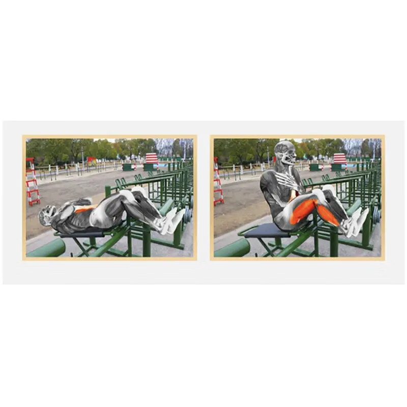 赤道线 腹肌组合训练器 户外体能训练器材4人组钢铁长城锻炼设备 CDX-A371S173高清大图