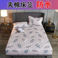 防滑床笠夹棉加厚席梦思保护套全包棕垫床罩单件