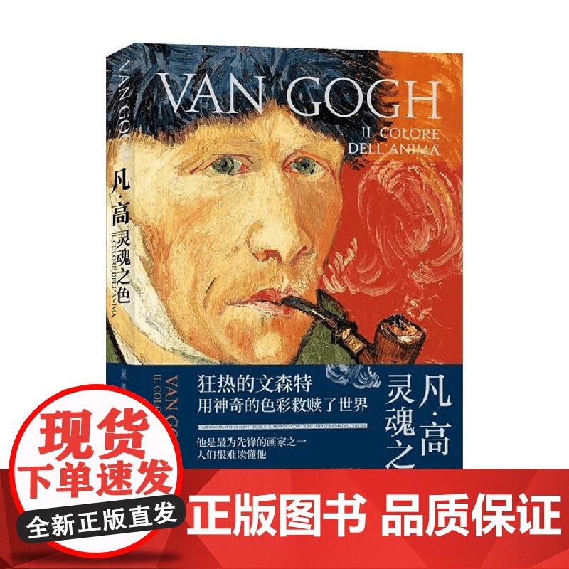 凡高 灵魂之色 恩里卡·克里斯皮诺 著 传记高清大图