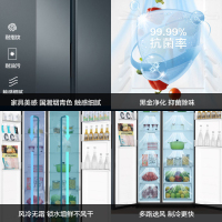 海尔(Haier)616升对开门超薄嵌入冰箱 鲸式储量 黑金净化 双变频一级能效 BCD-616WGHSSEDC9