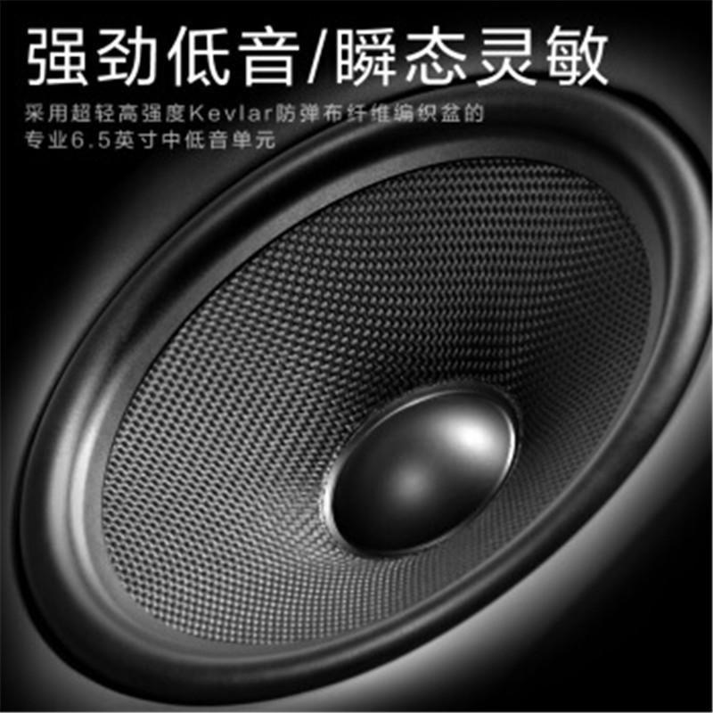 Hivi/惠威 RM600C 家庭影院中置音箱 家用客厅电视音响木质钢琴漆 AV音箱