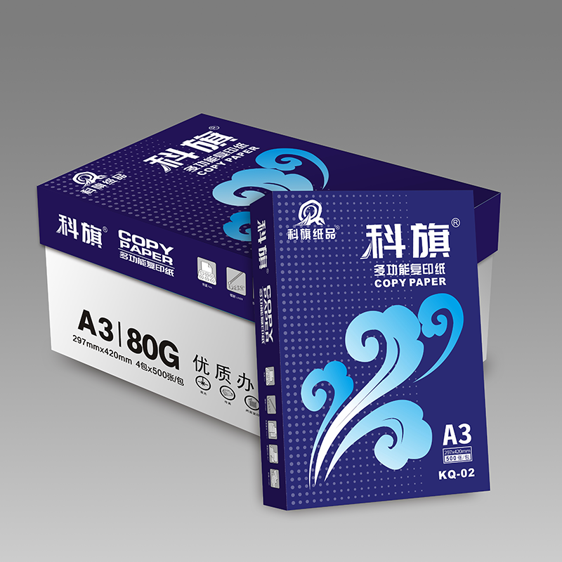 宣皇 科旗02号a4打印纸80g复印纸500张/包办公专用纸学生用纸a4打印白纸 科旗02号A4 80G 8包/箱高清大图