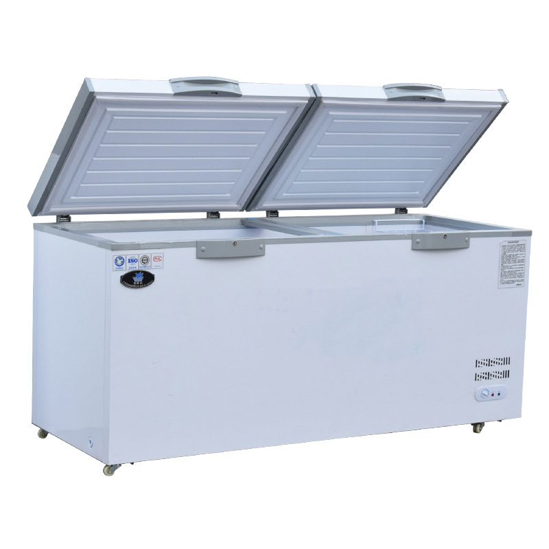 雪潮商用卧式冰柜视频