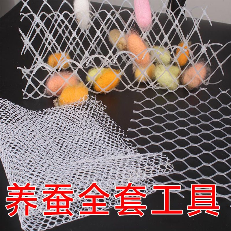 透气饲养盒1个 养蚕工具蚕宝宝套装小蚕饲养盒蚕卵孵化盒分养盒羽毛结茧网抽丝