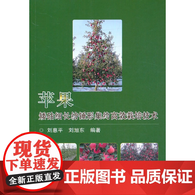 苹果矮砧细长纺锤形集约栽培技术