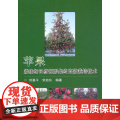 苹果矮砧细长纺锤形集约栽培技术