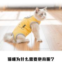 猫咪绝育衣服母猫手术服夏季断奶薄款绝育服公猫术后防舔防咬 樱桃红色 S-3斤内(两件方便清洗)