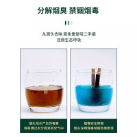 一次性沙办公室清洁剂防飞吸烟净化灭烟泥 蓝色30包/盒