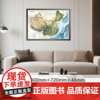 [定制卫星影像凹凸框图]高档烟灰色实木边框 北斗3D立体地图 中国世界地形图约100*72cm 三维地貌办公室装饰画背景