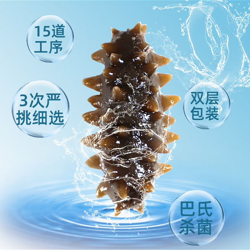 晓芹 大连即食海参 1000g16-24只 辽刺参 海鲜水产 海参礼盒高清大图