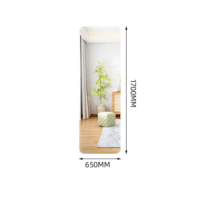 翌嘉YJ-CYJ-31 全身镜家用家用可移动等身墙面女装店试衣舞蹈化妆落地镜 白色 650*1700高清大图