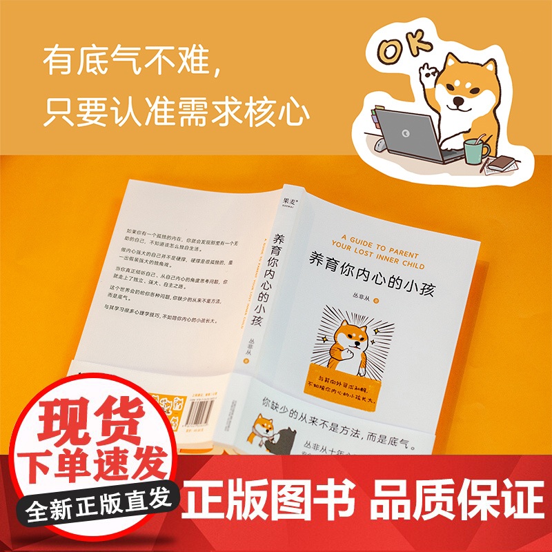 养育你内心的小孩 丛飞从 心理学入门自助疗愈自我成长 心理咨询 亲密关系 焦虑 情绪习惯 自控力 人间清醒 原生家庭 价高清大图