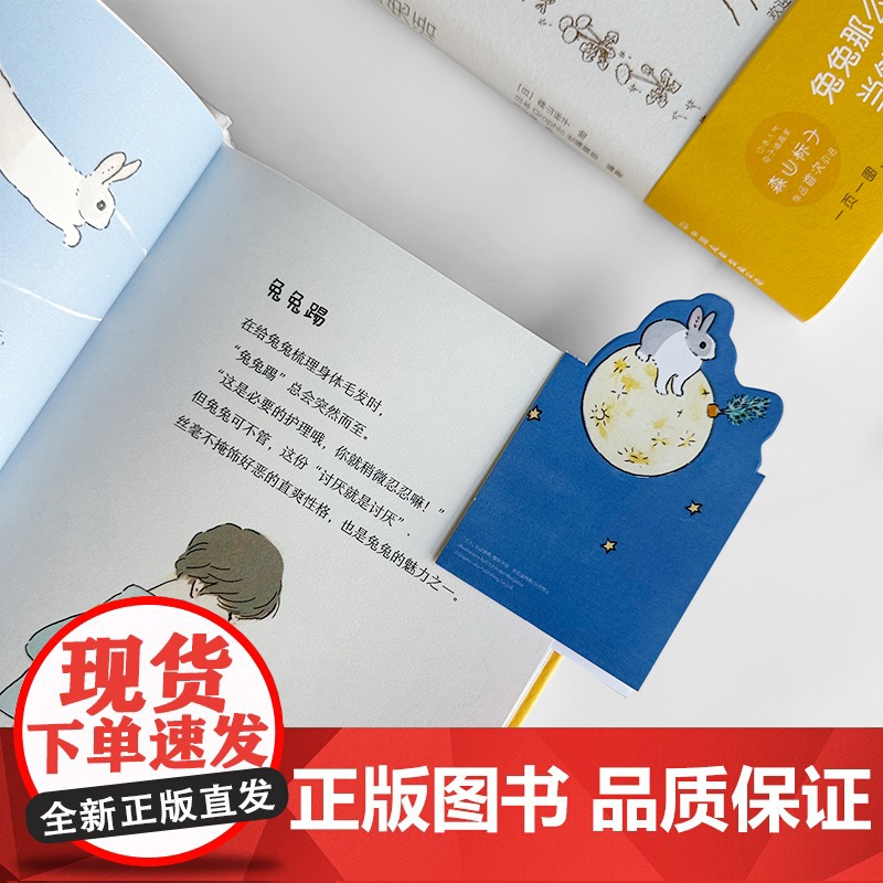 兔言兔语 可爱即正义 人气兔子插画师森山标子作品,软萌兔兔治愈你的每一天治愈系漫画绘本正版牡蛎的壳是大人的心脏高清大图